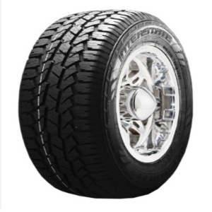 INTERSTATE All Terrain GT (AT)