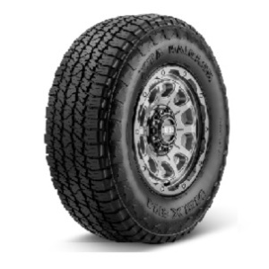 NEXEN ROADIAN TX