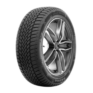Pneu 255/40 R18 99V Radar DIMAX WINTER