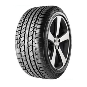 GT RADIAL CHAMPIRO WT-55