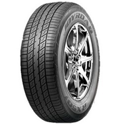 JOYROAD Milemax RX501