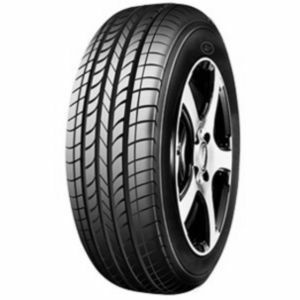 LEAO NOVA-FORCE P100 H