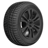 PIRELLI Winter 210 SnowSport (W210)