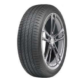 SPORTS EQUATOR II