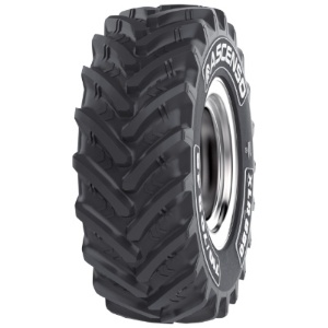 ASCENSO XLR 880