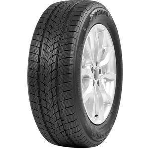 Pneu 315/35 R20 110V Davanti Wintoura SUV