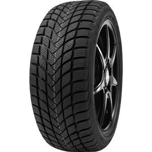 Pneu 195/45 R16 84H Delinte WINTER WD6