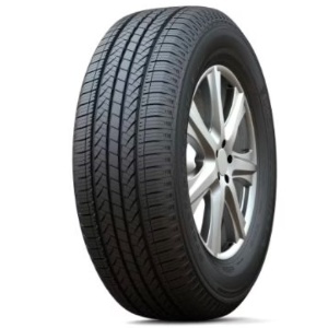 Practicalmax H/T RS21
